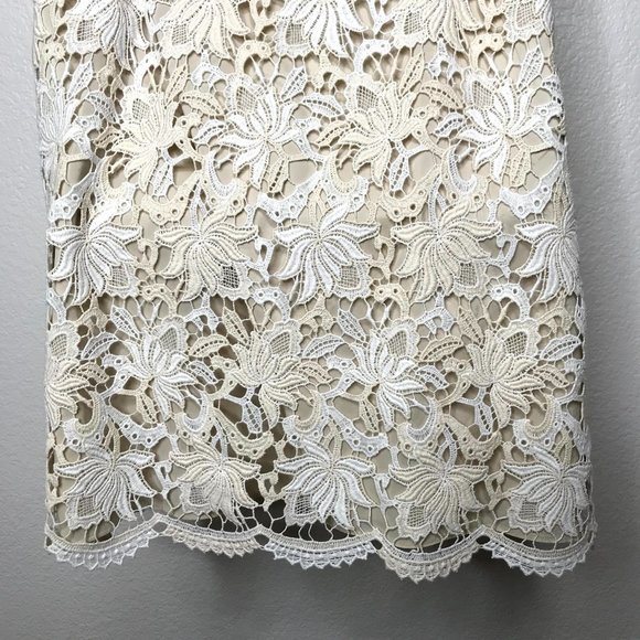 Ann Taylor lace sheath dress scallop hem - Picture 7 of 11